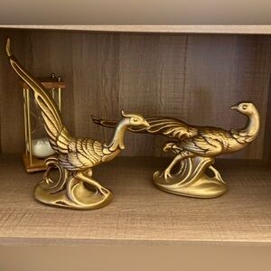 Syroco gold pheasants phoenixes